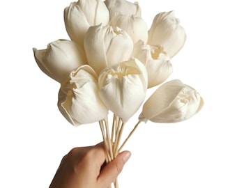 Plawanature 10 mooie tulpen Sola bloem 2" rietverspreider voor huisgeur.