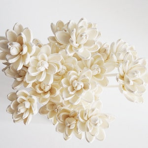 10 White Magnolia Sola Flower with Reed Diffuser for Home Fragrance by Plawanature…