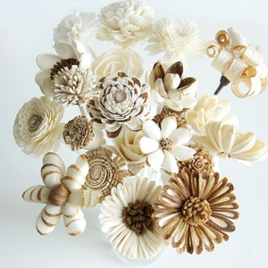 21 Mixed Sola Wood Flower with Reed Diffuser for Home Fragrance Aroma Oil by Plawanature