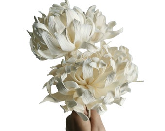 5 Spinnen Lilien Sola Flower Reed Diffuser 10cm für Raumduft von Plawanature.