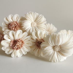 10 Pink White Sunflower Aster Sola Flower Reed Diffuser for Home Fragrance by Plawanature