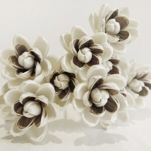 May include: A cluster of white paper flowers with brown centers. The flowers are arranged in a bouquet and have a delicate, natural look.