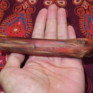 Malaysia Sacred Wood Raja Kayu ( Holzkönig) Jangle Wood Stick Rod (l3)