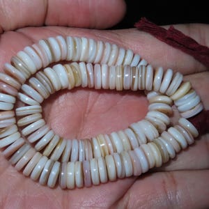 May include: A strand of white and pink shell beads with a brown cord.