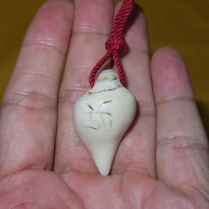 以下が含まれることがあります： 表面にシンボルが刻まれた、オフホワイトのしずく型シェルペンダント。細い赤い結び紐で吊るされており、滑らかで光沢のある質感を持つシンプルなネックレス、またはチャームのデザインとなっています。