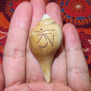 May include: A beige conch shell with a carved design, held in an open hand. The shell has a smooth, polished surface and a pointed end. The carved design appears to be a symbol or inscription. The background is a colorful, patterned fabric.