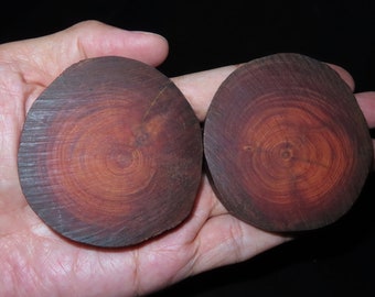 2x Malasia Madera Sagrada Raja Kayu (Rey de la Madera) Pieza de rebanada de madera Jangle (c7)