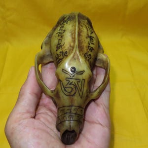 Rare Tibetan Buddhist Carved Deer Skull Tibetan Script Mantra Shaman Ritual Kapala Altar (z21)