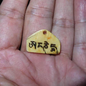 Può includere: Un piccolo ciondolo color crema con un'iscrizione nera in scrittura tibetana. Il ciondolo ha la forma di una casa e ha un piccolo foro nella parte superiore per una corda o una catena.