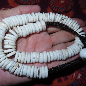 Pode incluir: Um colar de conchas brancas com um cordão preto e uma grande conta de concha branca na ponta. O colar é feito de muitas conchas pequenas e redondas.