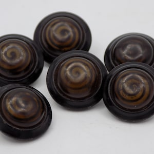 May include: Six brown and gold swirl buttons with a raised centre and a black rim.