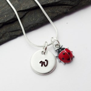 May include: Silver necklace with a round charm engraved with the letter "W" and a small red ladybug charm.