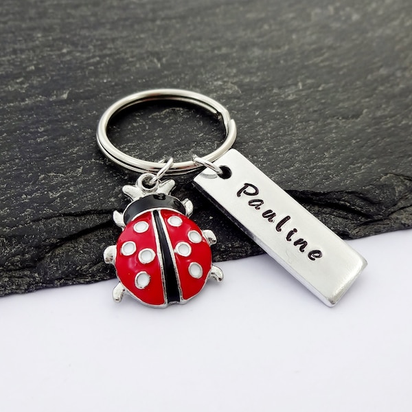 Ladybird Charm Keyring, Personalised Keychain, Ladybird Gifts, Ladybug Gift, Stocking Filler Gift, Name Keyring, Insect Keychain