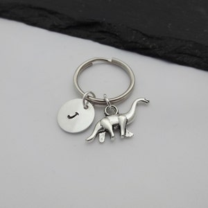 May include: Silver keychain with a dinosaur charm and a round disc charm with the letter J engraved on it.