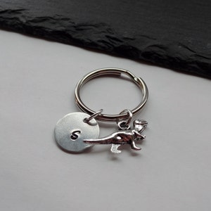 May include: Silver keychain with a small dinosaur charm and a round disc with the letter "S" engraved on it.