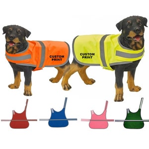 Service Dog in Training Vests Etsy