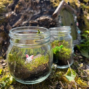 Small Moss Terrarium for kids, Mossarium, DIY terriarium Kit, Live Moss, Imaginative Play, Cottagecore, fairycore gifts, ages 12 and up image 2