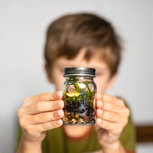 Small Moss Terrarium for kids, Mossarium, DIY terriarium Kit, Live Moss, Imaginative Play, Cottagecore, fairycore gifts, ages 12 and up image 1