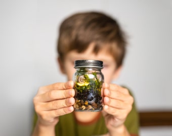 Small Moss Terrarium for kids, Mossarium, DIY terriarium Kit, Live Moss, Imaginative Play, Cottagecore, fairycore gifts, ages 12 and up