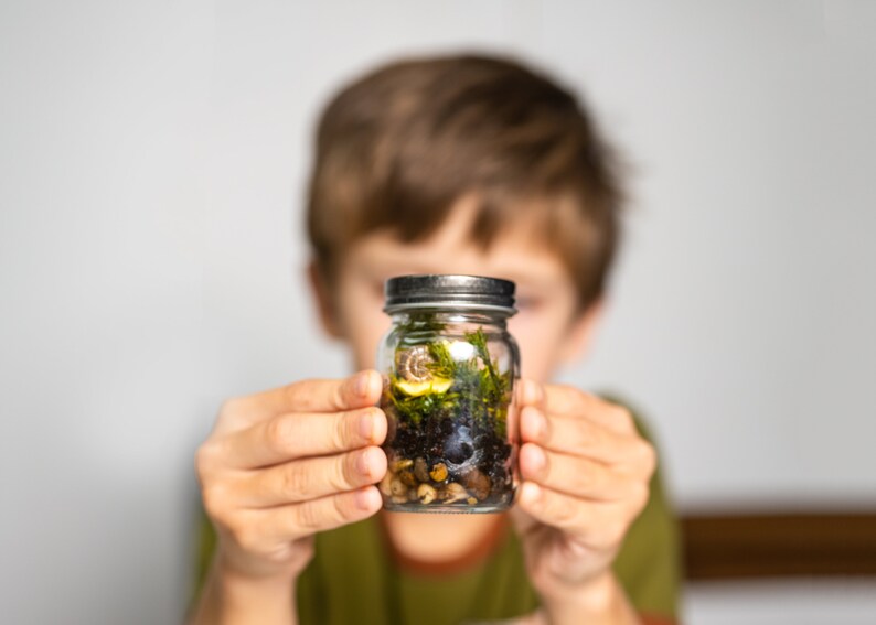 Small Moss Terrarium for kids, Mossarium, DIY terriarium Kit, Live Moss, Imaginative Play, Cottagecore, fairycore gifts, ages 12 and up image 1