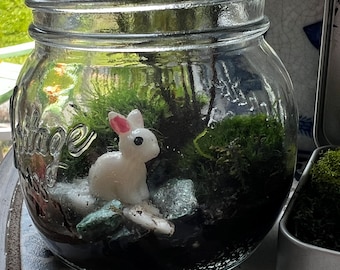 Mini Moss Terrarium, Mossarium, DIY terriarium Kit, Live Moss, Imaginative Play, Cottagecore, fairycore gifts, Cottage Decor, Mosscore