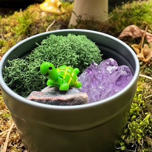 Round Small Mossarium for Kids Terrariums, Moss, Plant Gifts for Children Preserved Moss, Easy Plants, Cottagecore, Fairycore Gifts, image 1