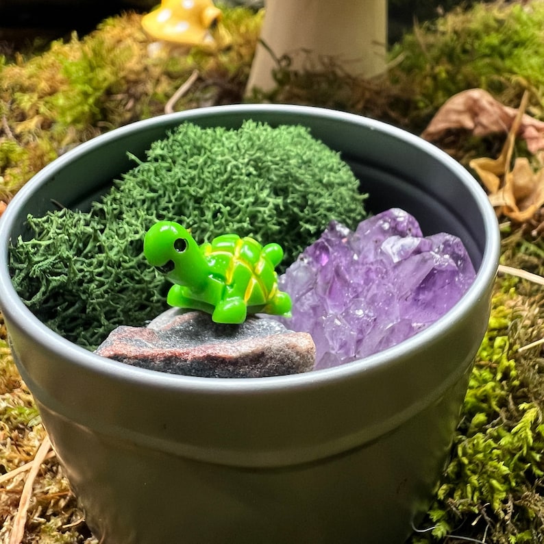 Round Small Mossarium for Kids Terrariums, Moss, Plant Gifts for Children Preserved Moss, Easy Plants, Cottagecore, Fairycore Gifts, image 1