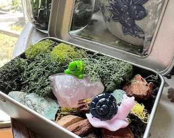 Mini Moss Terrarium for Kids- Terrariums, Moss, Plant Gifts for Children - Preserved Moss, cottagecore decor, fairycore gifts