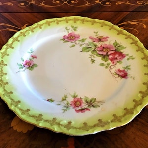 Antique Victorian Hand Painted Plate with Wild Roses. Made in Austria, Fine China Plate, Home Decor