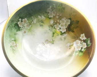 Antique Fine China RS Germany Serving Bowl with A Floral Decor, Home Decor, Porcelain, Collectible
