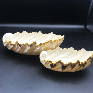 May include: Two cream-colored ceramic dishes shaped like seashells with scalloped edges. Each dish features a prominent spiral detail at one end and a decorative gold-painted trim along the rippled rim, highlighting the textured shell design.