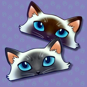 Cat-Window-Peeker Katzenaufkleber | Katzengesicht Sticker| Siamesische-Lavendel-Spitze-Schokoladen-Spitze 14cmx7cm