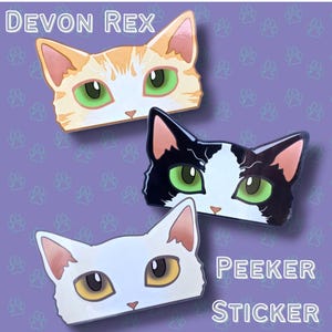Cat-Window-Peeker Rex Cat Peeking Sticker |Cat Face| 4.65"x2.84"