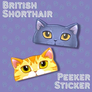May include: Two cat peeker stickers. One is a gray British Shorthair cat with yellow eyes, and the other is an orange tabby cat with yellow eyes. The background is a light purple color with paw prints. The text "British Shorthair" and "Peeker Sticker" are also visible.