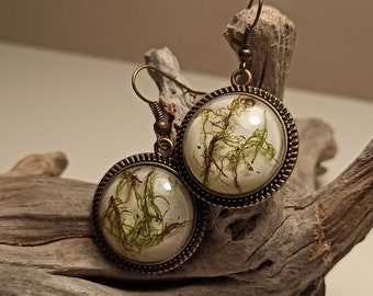 Moss earrings earrings with moss in resin, flower jewelry, real flowers in resin