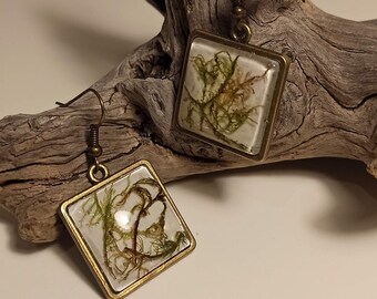 Moss earrings earrings with moss in resin, flower jewelry, real moss in resin