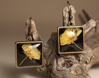Buttercup earrings earrings with buttercups in resin, flower jewelry, real flowers in resin