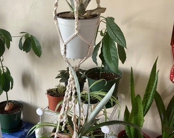 Double plant hanger