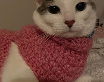 Turtleneck sweater for cat or small dog