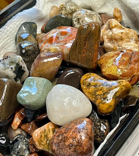 Wisconsin Tumbling Rough | Lightly Tumbled Agate, Quartzite, Jasper, Chert, Granite, Chalcedony, Etc. - Natural Stone