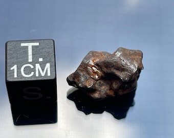 May include: A dark gray, irregularly shaped meteorite with a rough texture. The meteorite is about 1 centimeter in size, as indicated by the black cube with the text "T. 1 CM S."