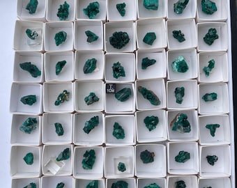 Excellent Dioptase lot , wholesale , natural crystals , 49 pcs , from Congo