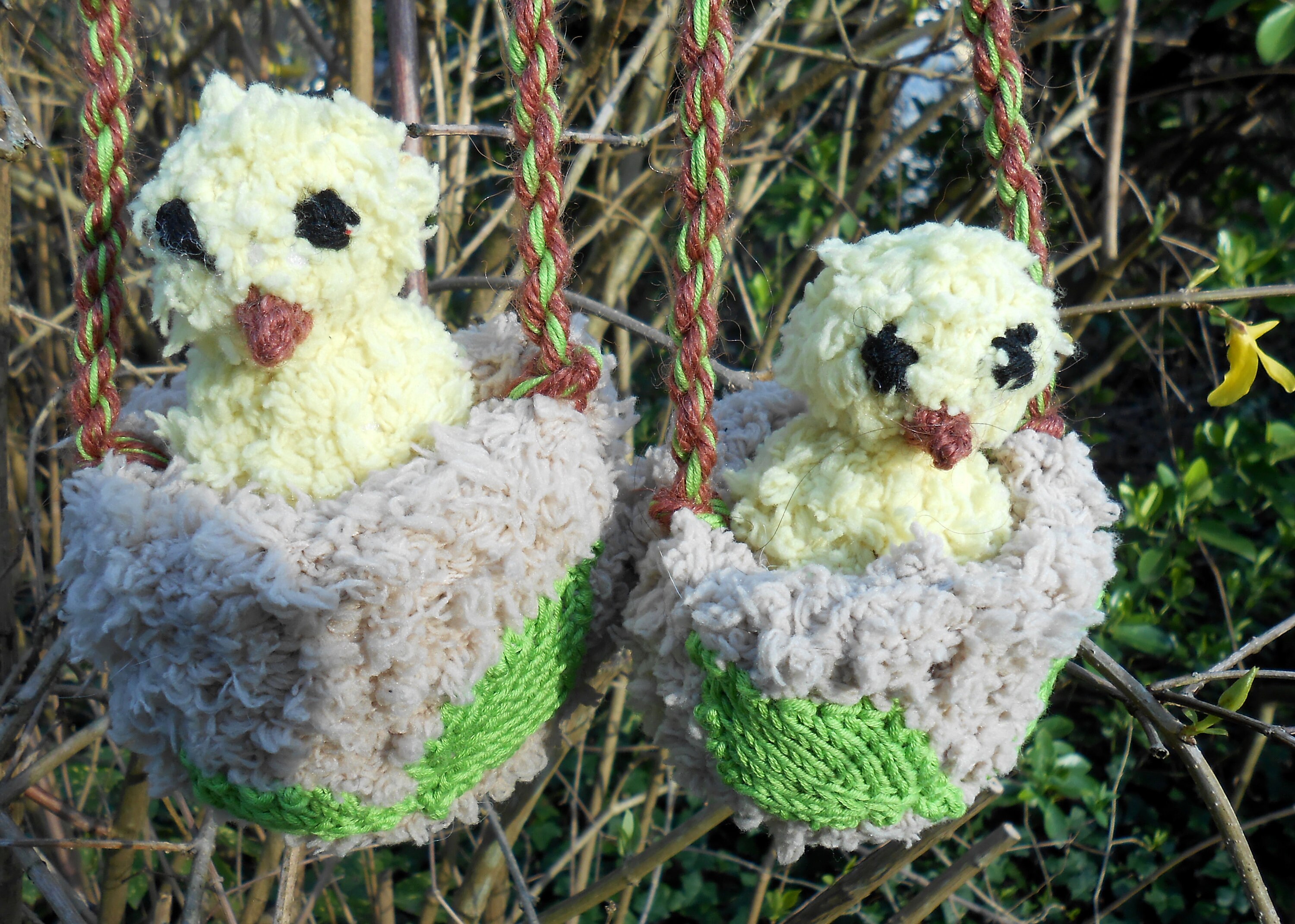 Nid et Son Poussin Tous Doux | Un Nid Au Choix - Nest & Its Sweet Chick | A Nest Of Your Choice