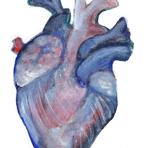 ACEO ART PRINT Anatomisches Herz Malerei Miniatur Sammler Karte Menschlicher Körper Anatomie Kardiologie Illustration Volkskunst Kardiologen Geschenk