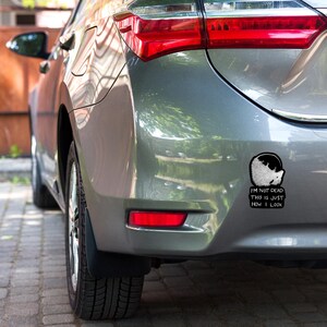 May include: A gray car with a black and white sticker on the back bumper. The sticker features a cartoon animal and the text "I'm not dead this is just how I look".