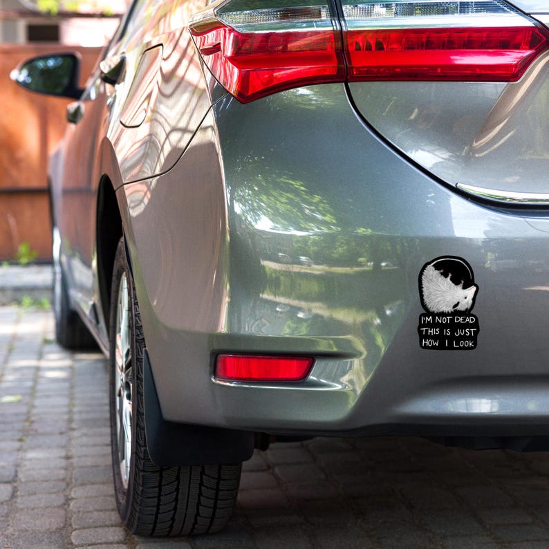 May include: A gray car with a black and white sticker on the back bumper. The sticker features a cartoon animal and the text "I'm not dead this is just how I look".