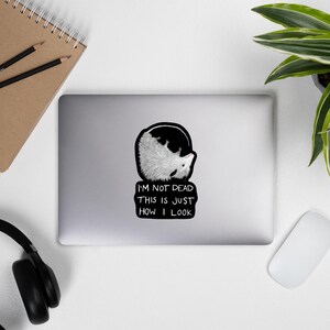 May include: A black and white sticker with a possum curled up in a ball. The text on the sticker reads "I'm not dead this is just how I look."