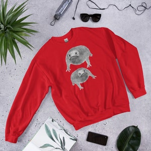 SWEATSHIRT Weird Frog Goblincore Christmas Cottagecore Birthday Gifts Jumper Funny Toad Sweater Quirky Whimsical Cute Grumpy Frown Rain Frog