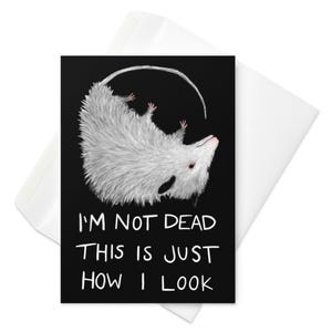 GREETING CARD  Not Dead Possum Folk Art Funny Cards Memes Whimsical Weird Cute Housewarming Opossum Birthday Gift Quirky Goth