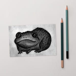 4 x 6 ART PRINT CARTE POSTALE grenouille Art folklorique grenouille amoureux des cadeaux d'anniversaire carte Illustration lunatique cadeaux de pendaison de crémaillère original crapaud original trouvailles de printemps